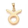 304 Stainless Steel Pendants STAS-L210-06F-G-01-1