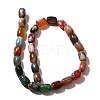 Natural Fire Crackle Agate(Dyed & Heated) Beads Strands G-H091-C01-01-2