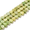 Natural Dolomite Beads Strands G-F765-H04-01-1