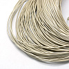 Spray Painted Cowhide Leather Cords WL-R001-2.0mm-49-2