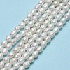 Natural Cultured Freshwater Pearl Beads Strands PEAR-J006-08C-01-2
