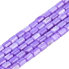 Natural Freshwater Shell Beads Strands BSHE-H109-17C-1