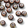 20Pcs Acrylic European Beads OPDL-YW0001-04B-1