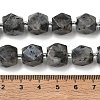 Natural Labradorite Beads Strands GG-CBAF8A8-A05-01-3