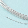 Dead Soft 925 Sterling Silver Wire STER-NH006-A-2
