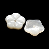 Natural White Shell Beads BSHE-G034-29-2