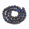 Natural Chalcedony Beads Strands G-S333-10mm-014E-2