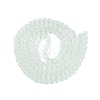 Baking Paint Transparent Glass Bead Strands GLAA-S031-8mm-29-4
