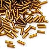 Glass Bugle Beads TSDB6MM53-1