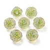 UV Plating Rainbow Iridescent Acrylic Beads OACR-P010-20F-1