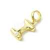 Rack Plating Brass with ABS Plastic Pearl European Dangle Charms KK-G501-02I-G-2