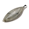 Natural Labradorite Big Pendants G-F820-06A-2