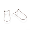 304 Stainless Steel Hoop Earrings X-STAS-T013-10-2