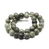 Natural Labradorite Bead Strands G-P256-01-4mm-2