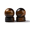 Natural Tiger Eye Display Decorations DJEW-G032-02B-1