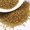 MIYUKI Delica Beads SEED-MY11-DB2157-1