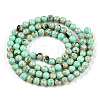 Assembled Synthetic Turquoise and Shell Beads Strands G-S212-4mm-04-2