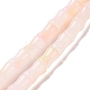 Glass Beads Strands GLAA-G083-01B-1