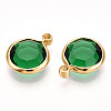 K9 Glass Charms GLAA-T023-37A-06-2