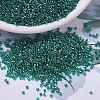 MIYUKI Delica Beads SEED-J020-DB0919-1