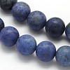 Frosted Round Natural Grade AA Sodalite Beads Strands G-N0166-68-4mm-2