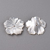 Natural White Shell Mother of Pearl Shell Beads SSHEL-R144-37-2