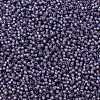 TOHO 11/0 Round Beads SEED-JPTR11-2124-2