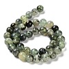 Natural Prehnite Beads Strands G-P322-48-10mm-01-3