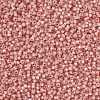 MIYUKI Round Rocailles Beads X-SEED-G008-RR0642-4
