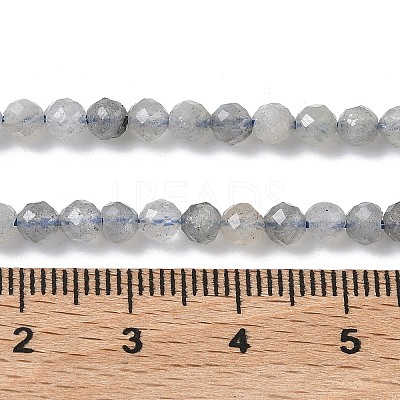 Natural Labradorite Beads Strands G-L651-C11-4mm-1