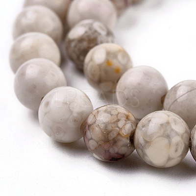 Natural Maifanite/Maifan Stone Beads Strands G-F353-6mm-1