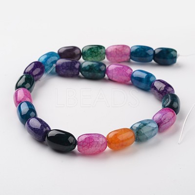 Barrel Natural Multi-Color Agate Bead Strands G-M350-11-1