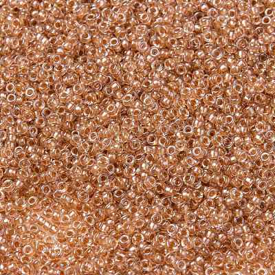 MIYUKI Round Rocailles Beads X-SEED-G009-RR1129-1