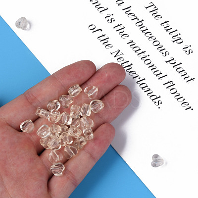 Transparent Acrylic Beads MACR-S373-95-B13-1