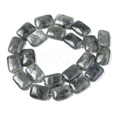 Natural Labradorite Beads Strands G-T121-13-1