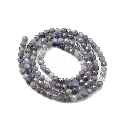 Natural Tanzanite Beads Strands LS-G-S387-A01-3mm-1
