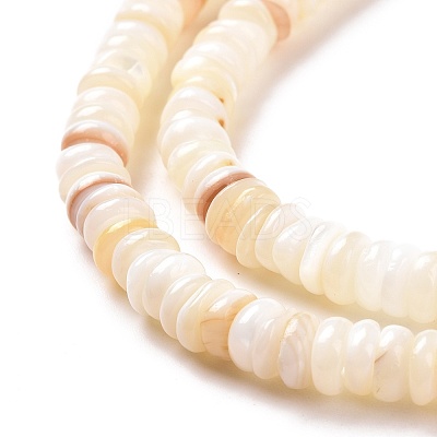 Shell Beads Strands SSHEL-E571-49I-1