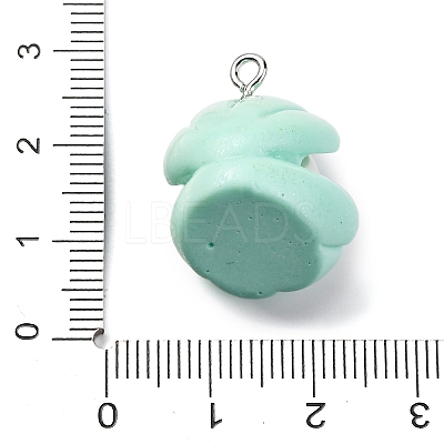 Opaque Resin Pendants RESI-P043-01P-01-1