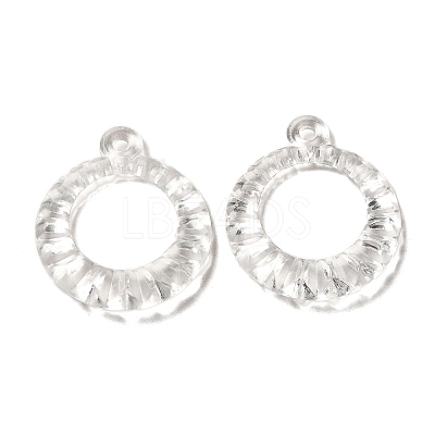 Transparent Acrylic Pendants TACR-G048-19-1