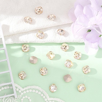 Preciosa&reg MAXIMA Crystal Fancy Stones X-PRC-FC10-00030-235-1