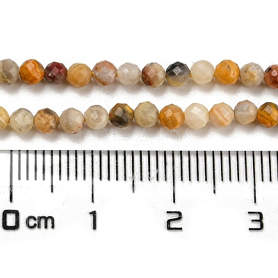 Natural Crazy Lace Agate Beads Strands G-K020-3mm-29-1