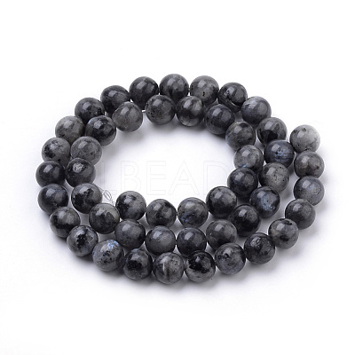 Natural Larvikite Beads Strands X-G-S259-06-10mm-1