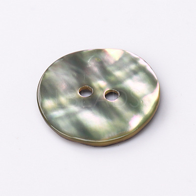 Abalone Shell/Paua Shell X-BSHE-I011-04A-1