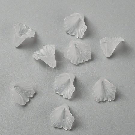 Transparent Acrylic Beads X-PL622-9-1