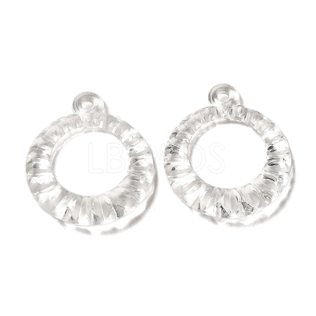 Transparent Acrylic Pendants TACR-G048-19-1