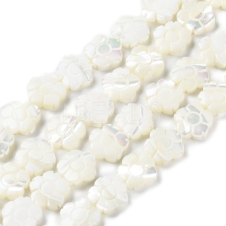 Natural Trochus Shell Beads Strands BSHE-E030-03-1