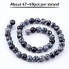 Olycraft Natural Snowflake Obsidian Beads Strands G-OC0001-49-3