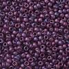 TOHO 8/0 Round Beads SEED-XTR08-0625F-2