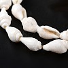 Natural Sea Shell Conch Bead Strands BSHE-O009-06-2