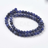 Natural Sodalite Beads Strands X-G-E110-6mm-3-2